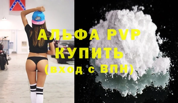 крисы Алексин