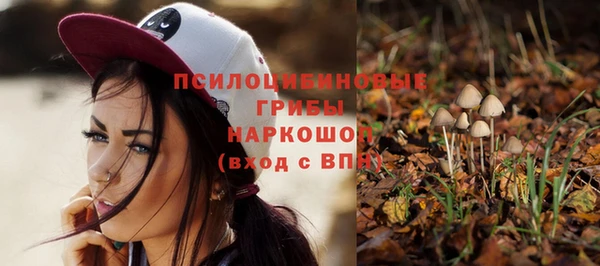 COCAINE Алексеевка